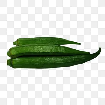 Lady Finger (35)-4504199-87806.webp